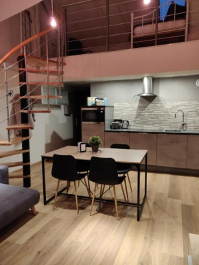Le business, duplex moderne special PRO de passage